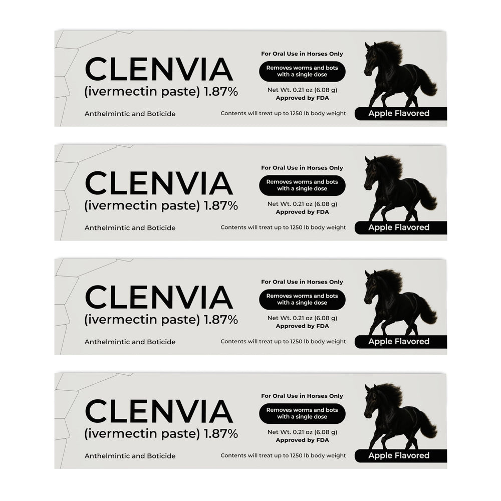 CLENVIA horse paste apple flavored syringe with clear dosing marks for accurate administration.