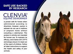 Stable scene with CLENVIA paste ready for convenient care