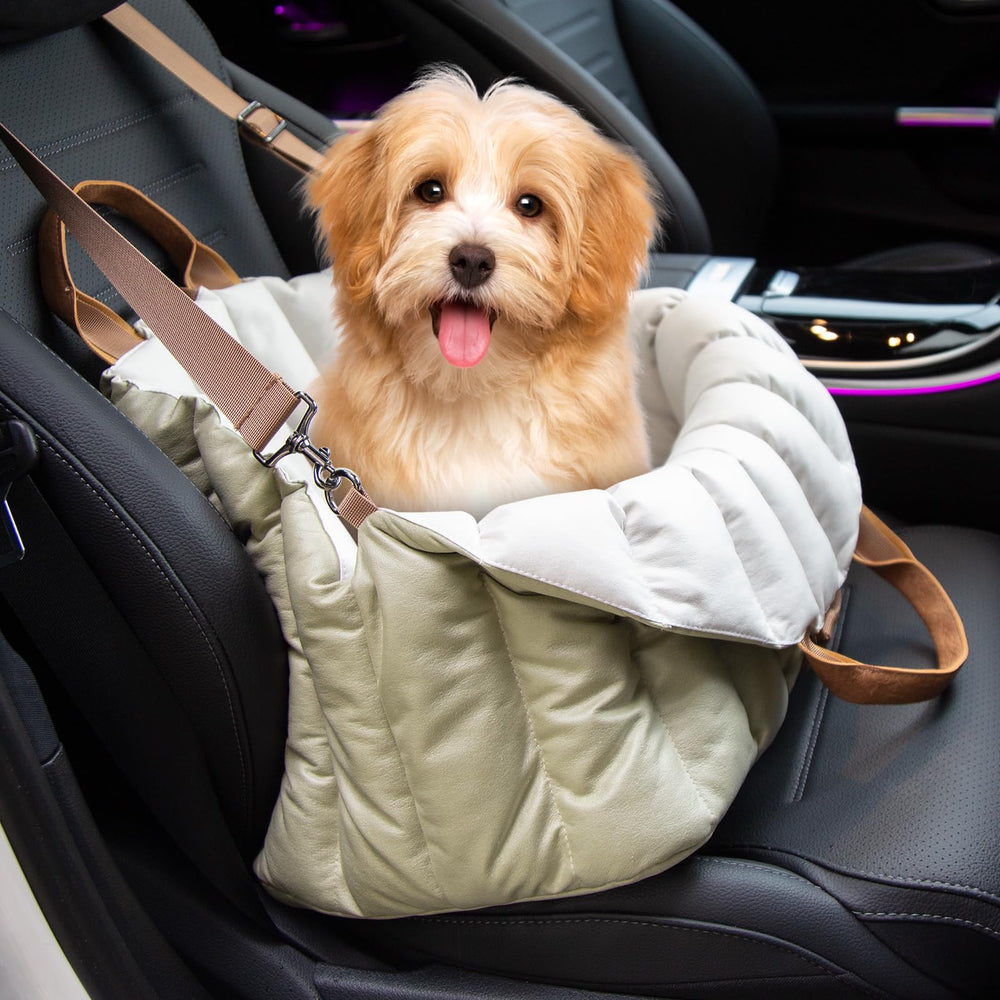 ClevaHome small dog car seat with non-slip base for secure rides