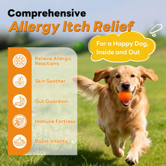 CleverasHealth dog allergy relief chews ingredients close-up highlight