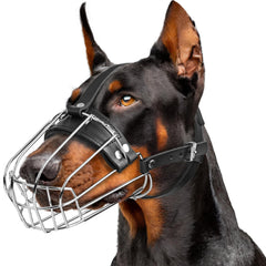 CleverTail Doberman Muzzle fit shown on a large dog for secure, comfortable wear