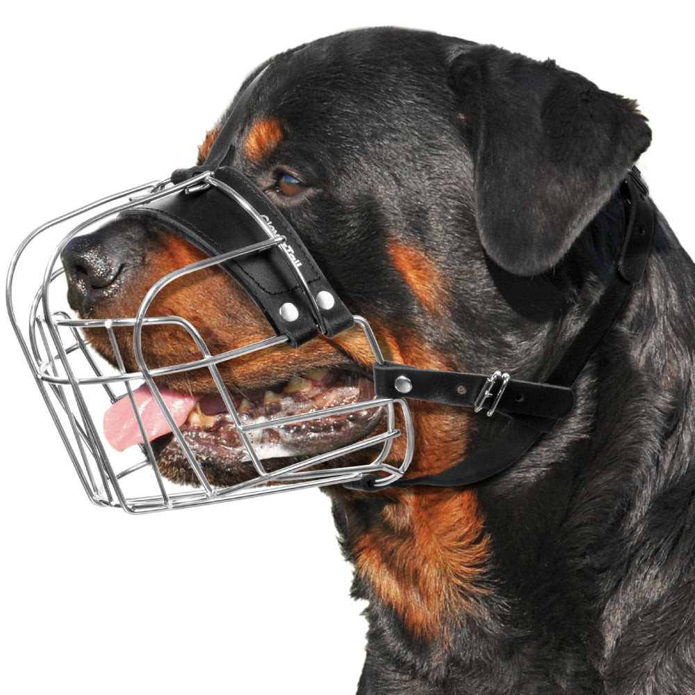 CleverTail XL metal muzzle on a large dog shows a secure fit.