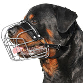 CleverTail XL metal muzzle on a large dog shows a secure fit.