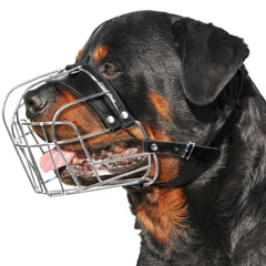 CleverTail XL metal muzzle on a large dog shows a secure fit.
