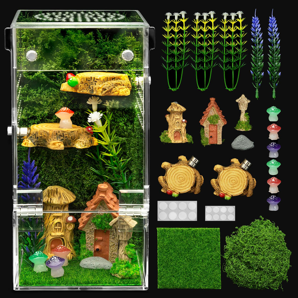 Clioran jumping spider enclosure front view for clear observation and easy daily checks
