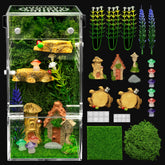 Clioran jumping spider enclosure front view for clear observation and easy daily checks