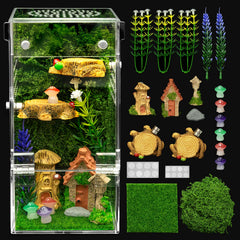 Clioran jumping spider enclosure front view for clear observation and easy daily checks