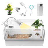 Clioran turtle-tank acrylic habitat for easy viewing of baby turtle behavior
