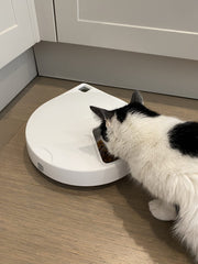 Closer Pets C500 portion-control design helps manage portion sizes for small pets.