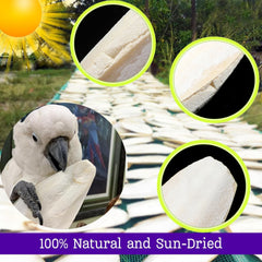 Clyairmao bulk bird cuttlebone rich in minerals for bird nutrition.