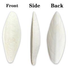 Close-up of rough texture on Clyairmao cuttlebone for birds