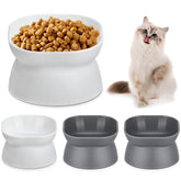 Clysee elevated cat bowls with a tilted design for comfortable eating