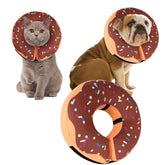 Cneo recovery donut collar on a large dog providing gentle post-surgery protection