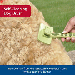Coastal Safari dog shedding-reduction brush reduces loose fur for tidy homes.