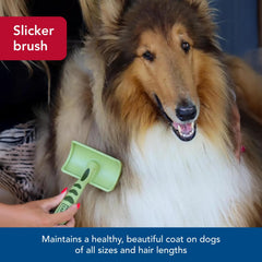 Coastal Safari curved firm slicker brush coated tips protect skin during brushing.