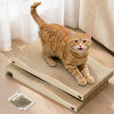 Coching cat scratcher medium size for agile cats protects furniture