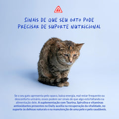 Coco and Luna eyes-vision emphasis for eye health support