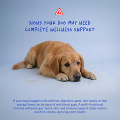 Coco and Luna dog multivitamin omega-3 fish oil graphic emphasizes coat and skin care.