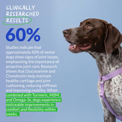 Coco and Luna fish oil capsules suggest omega support for joints.