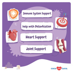 Coco and Luna mushroom blend ingredients close-up highlighting wellness support.
