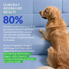 Coco and Luna skin and coat shine after daily omega-3 supplementation.