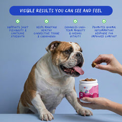 Coco and Luna supplement label close-up highlighting joint ingredients.