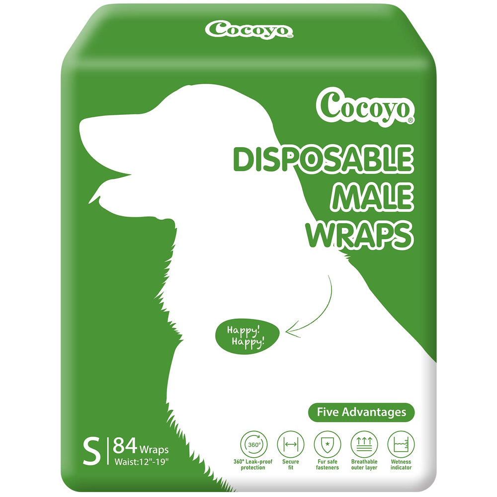COCOYO disposable male wrap with breathable outer layer on a small dog.