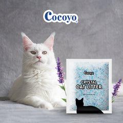 COCOYO lavender crystal litter surface shows easy scooping and clumping for quick cleanup.
