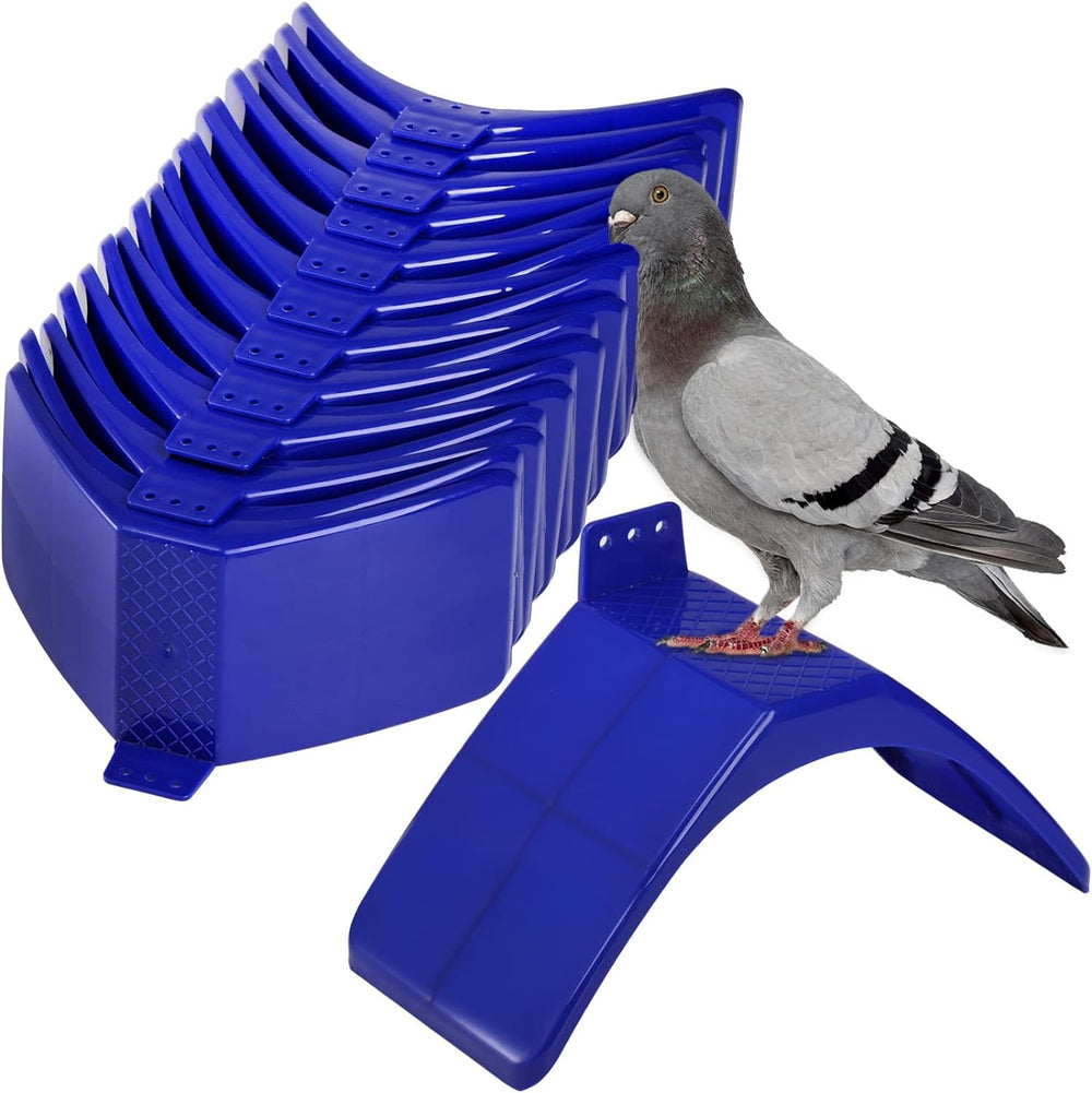 Coloch dove rest stand close-up surface for rest and play