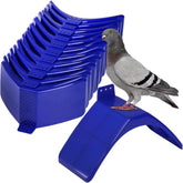 Coloch dove rest stand close-up surface for rest and play