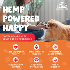 Colorado Dog calming chews on a travel bag suggest ease during trips.