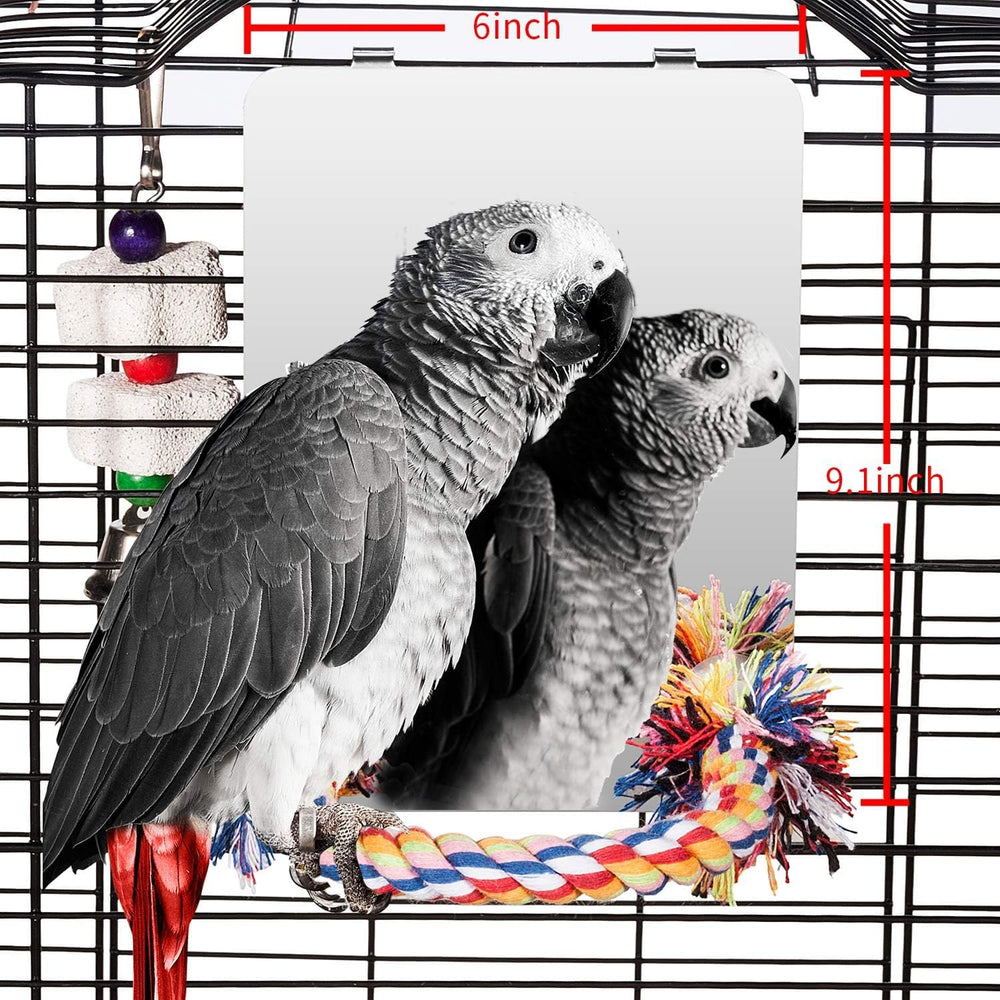 Colorday bird mirror with rope perch offers a clear reflection for birds.