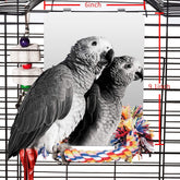 Colorday bird mirror with rope perch offers a clear reflection for birds.