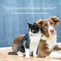 Colostrum-LD promotes a silky coat for pets.