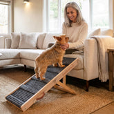 Comftcare dog ramp bed-foldable helps small dogs reach the bed easily