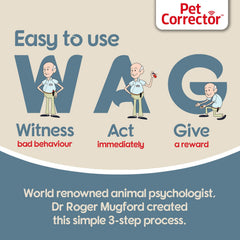 Trainer conducts a Pet Corrector training session using W.A.G. steps.