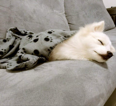 Comsmart car-seat blanket in soft fleece keeps pets comfortable during travel.