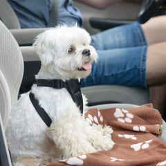 Comsmart pet nest blanket in soft fleece for cozy beds and crate comfort.