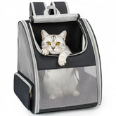 Conlun cat backpack carrier with three mesh panels for airflow and visibility.
