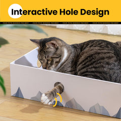Conlun scratcher box doubles as a cozy bed and play zone.