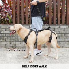 COODEO Mobility Dog Lift Harness on stairs shows elevation aid for seniors.