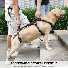COODEO Mobility Dog Lift Harness with reflective straps improve night visibility and safety.