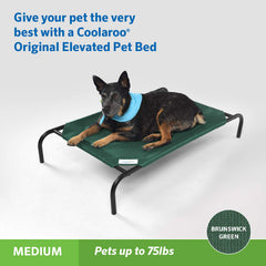 Coolaroo Original Elevated Pet Bed Brunswick Green, side profile highlights off-ground support.