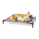 Coolaroo Pro Elevated Dog Bed with HeatShield fabric stays cooler outdoors for comfort