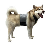 CoolerDog cooling vest targets neck and chest for heat relief.