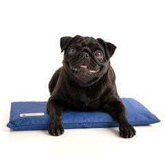 CoolerDog Hydro Cooling Mini Mat cover shown for crate cooling.