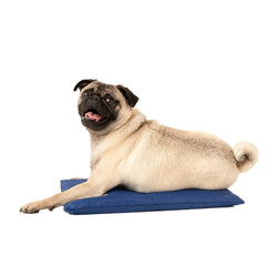 CoolerDog Waterbed Cushion provides a cool surface on hot days.