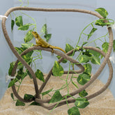 Coolrunner bendable 8ft vine with durable PU core for secure reptile climbing