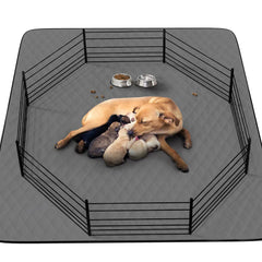 CoolShields washable dog pee pad 72x72 laid flat on floor protects carpets.