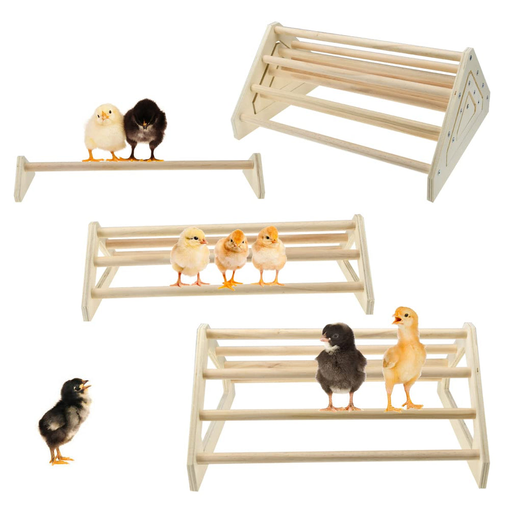 CooShou Chick Perch set assembled with multiple bars for exercise.